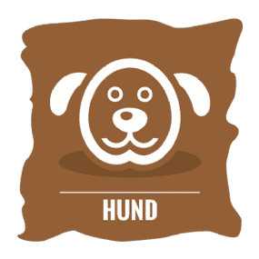 Hund