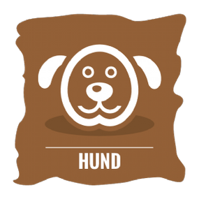 Hund