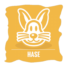 Hase